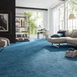 Wall-to-wall vibrant blue shag carpet in a bright living room