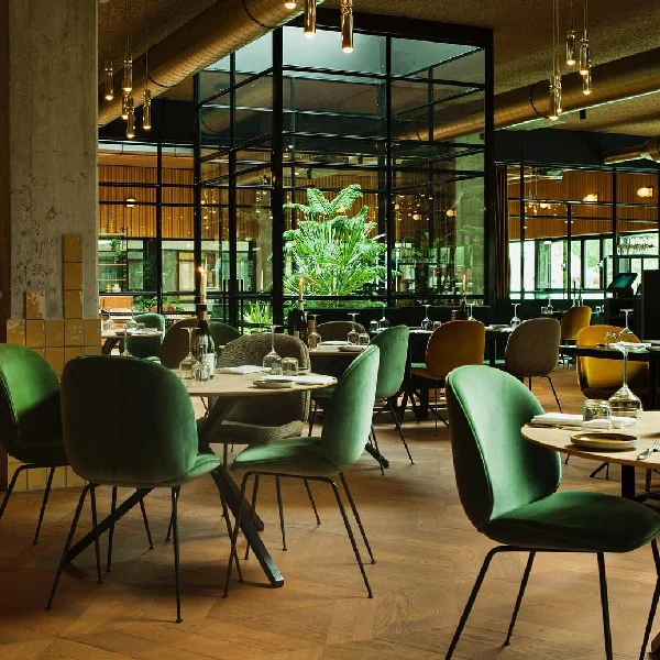 modern restaurant chairs in various colored velvet upholstery