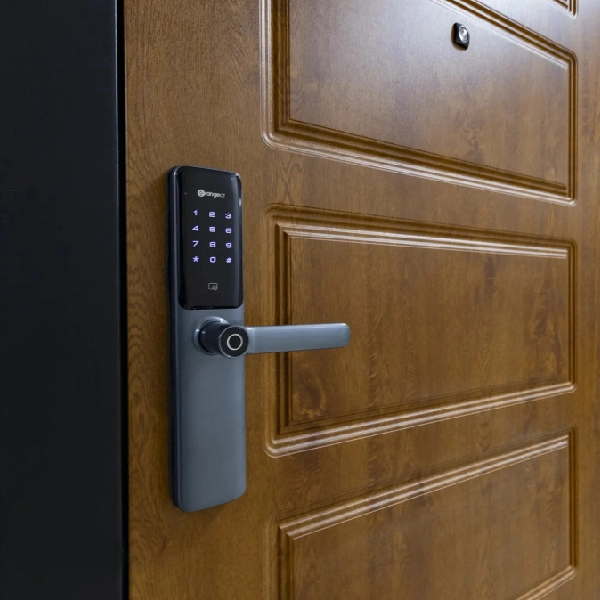 Smart security door lock with a digital keypad